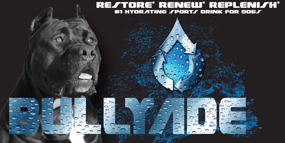 #1 SPORTS DRINK FOR DOGS
