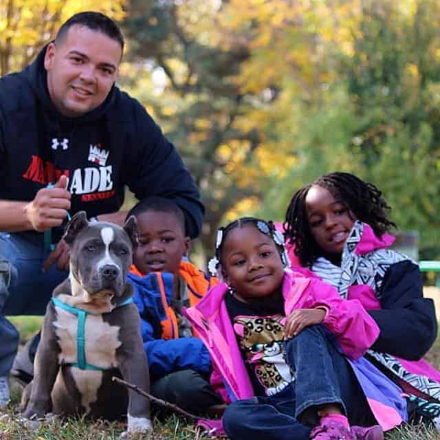 family pit bull puppy