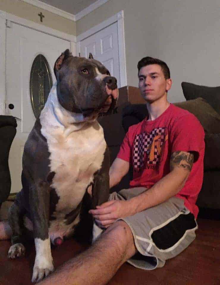 Guy with pitbull dog