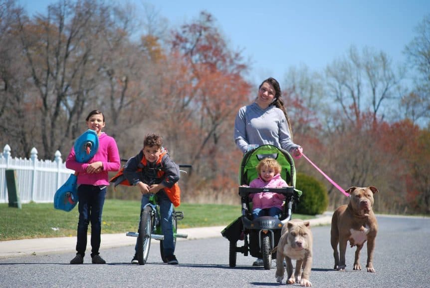 MANMADE KENNELS PIT BULL DOGS