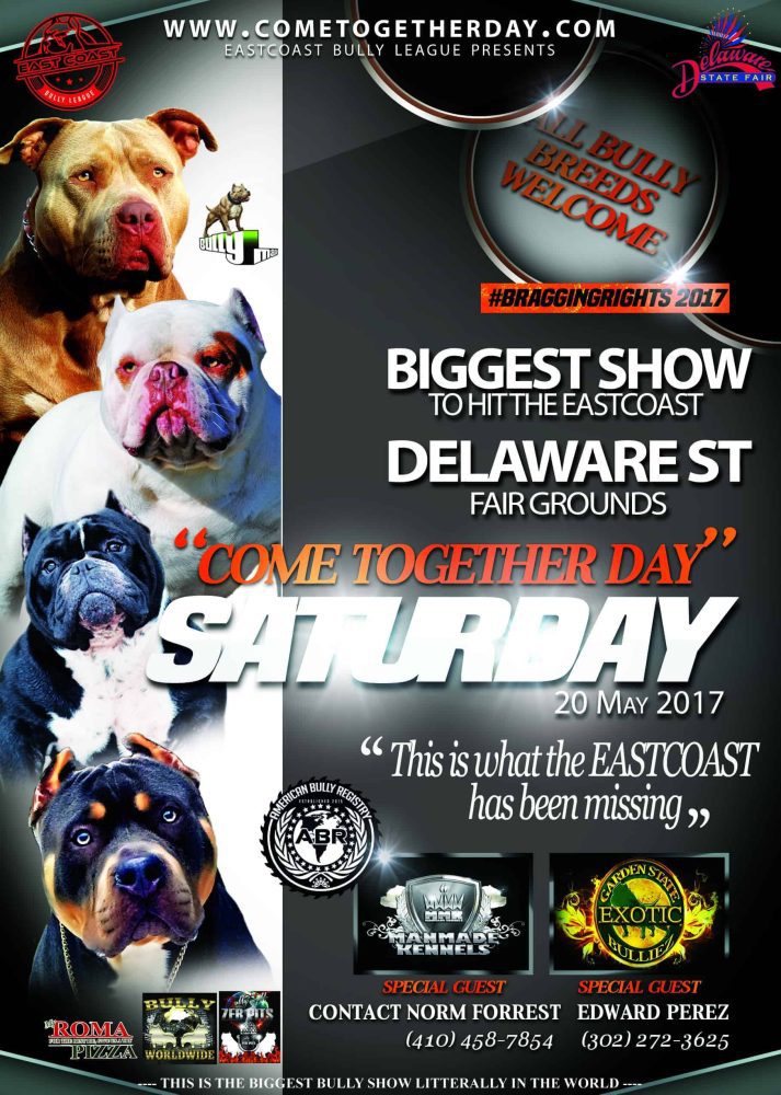 american bully show and dog events