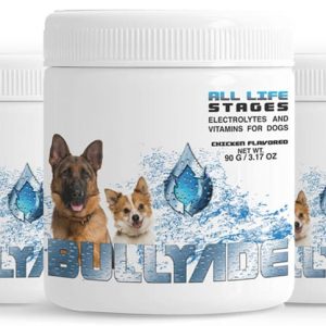 electrolytes and vitamins for dogs