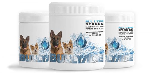 electrolytes and vitamins for dogs