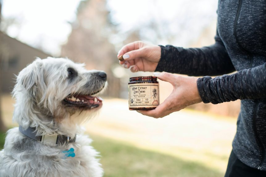 dog supplement for homemade food