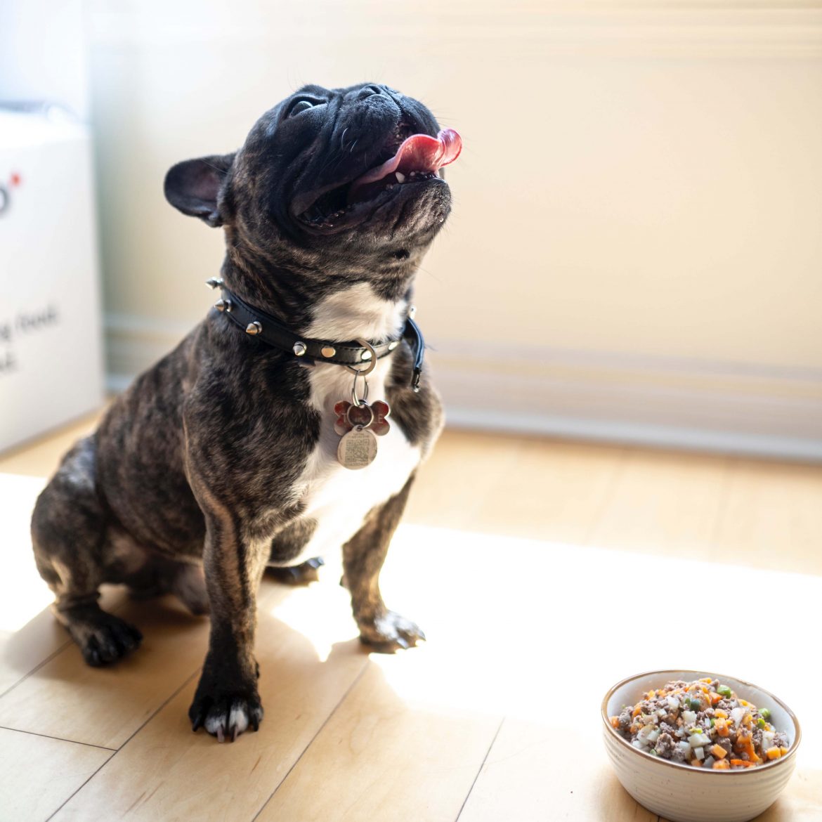 best dog food for puppies