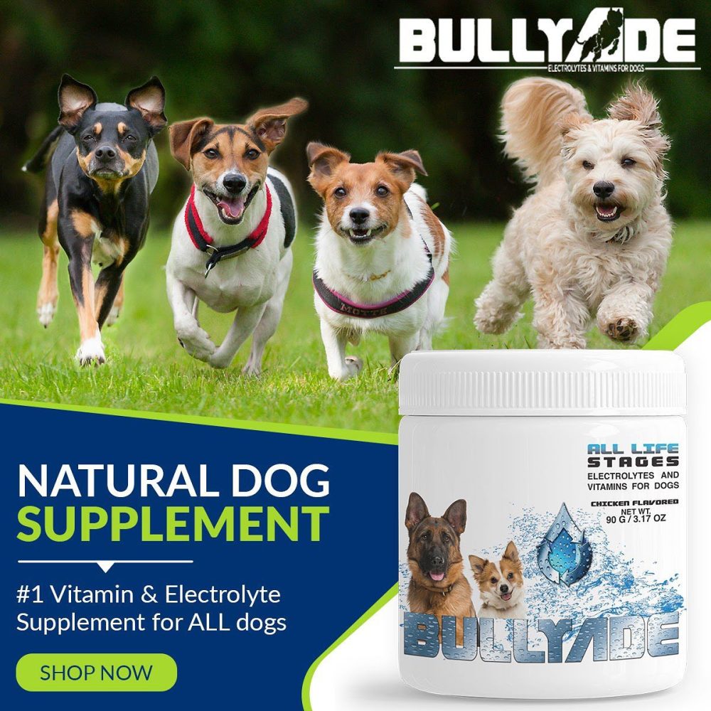 Bullyade vitamins and supplements for puppies