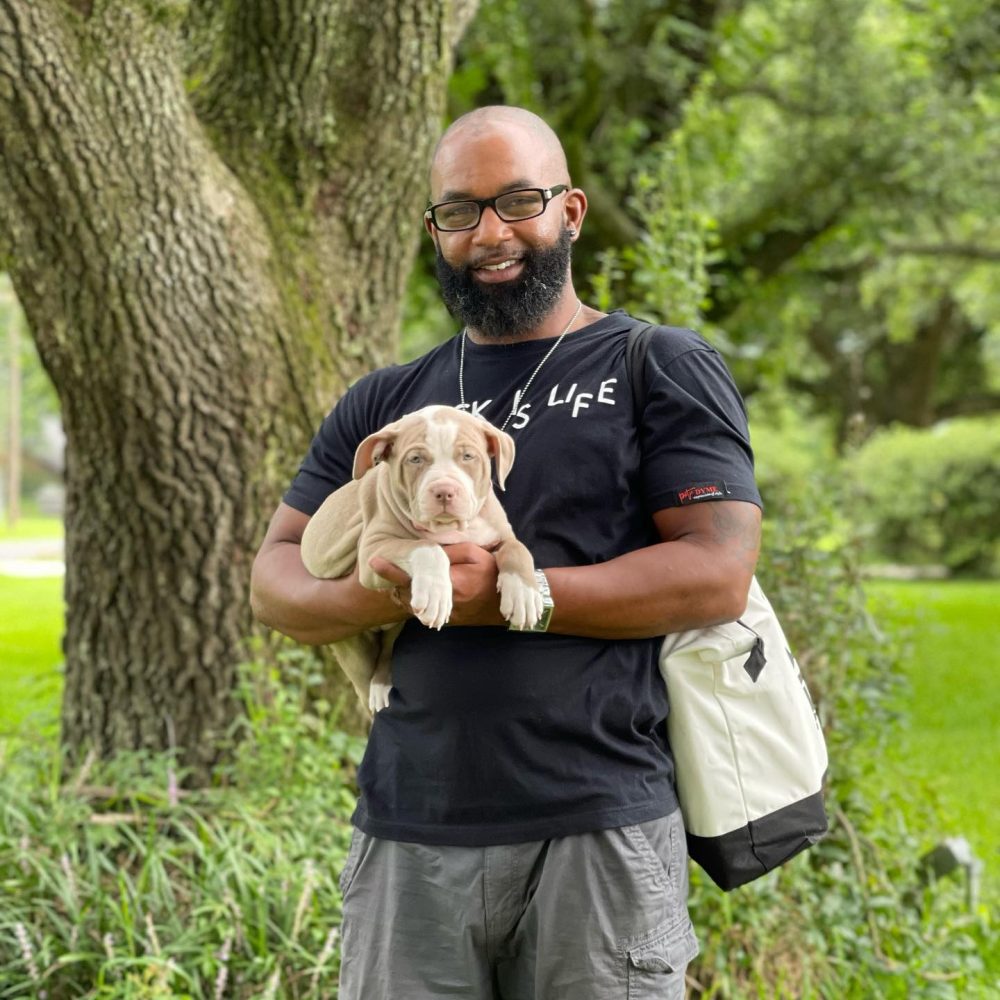 American bully puppies for sale in Texas