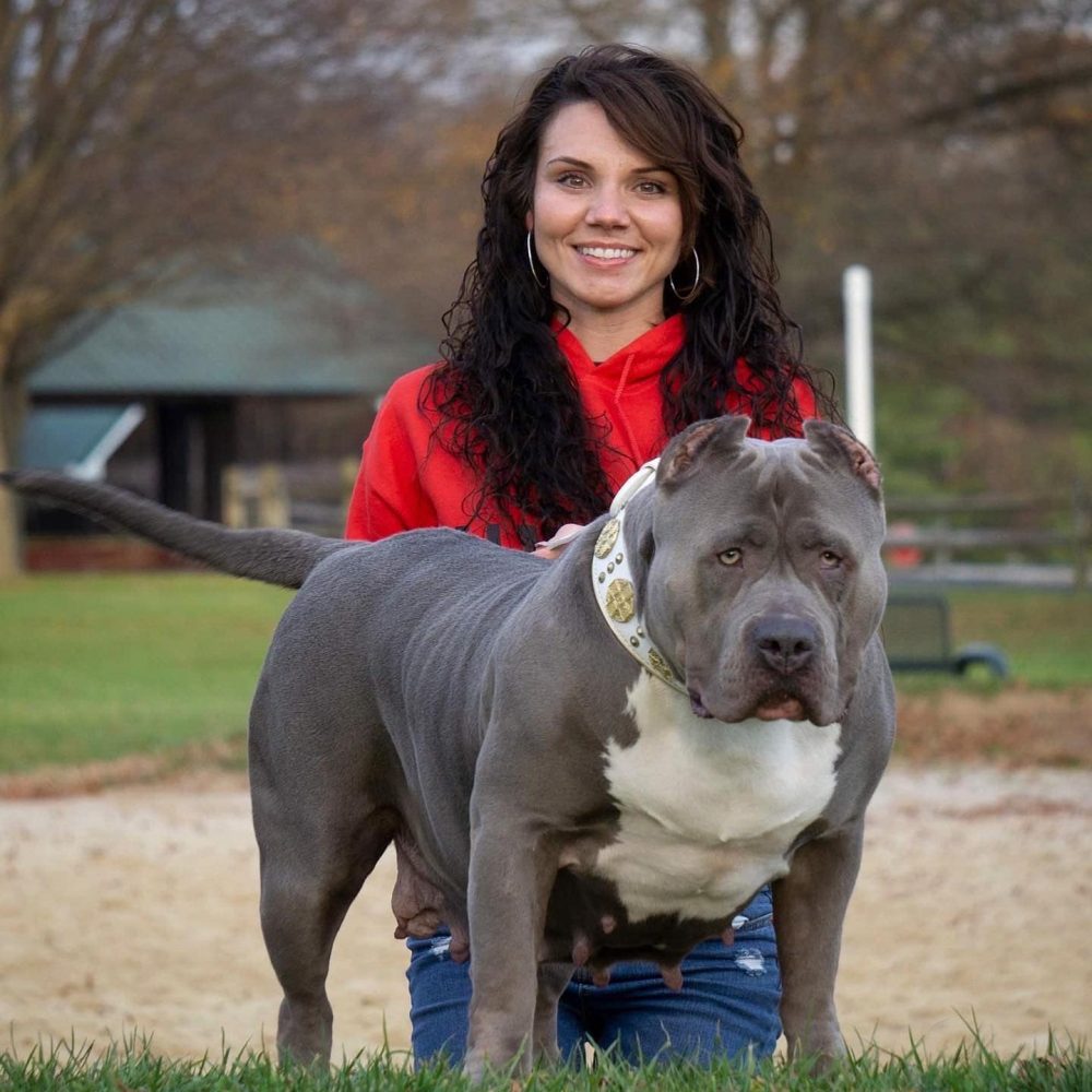 Manmade Kennels Females