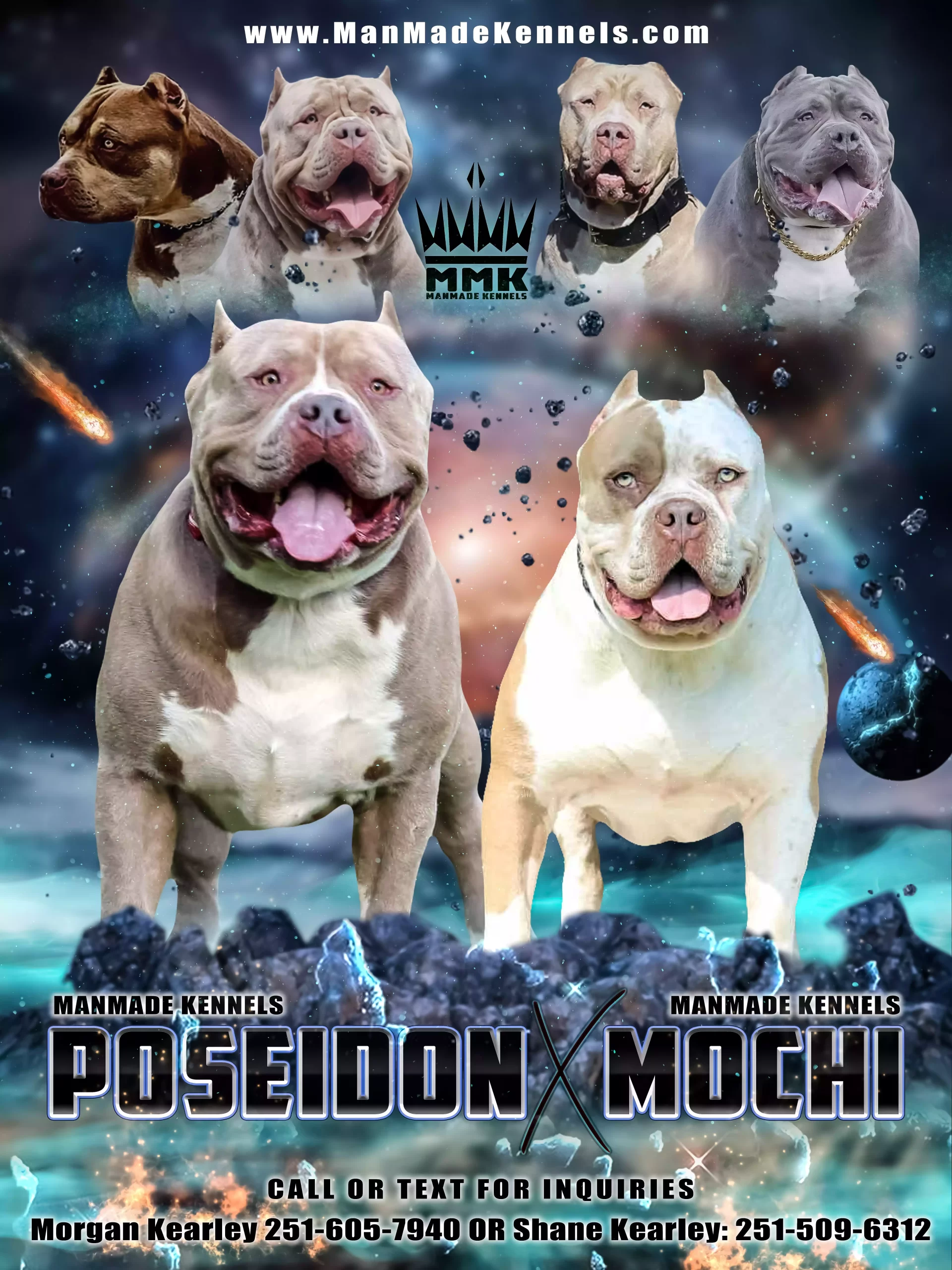 PITBULL PUPPIES