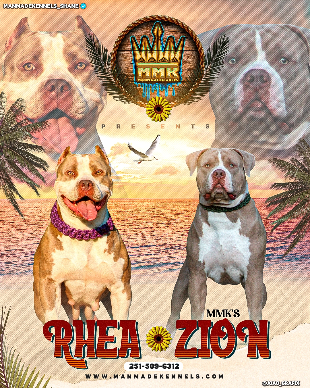 pitbull puppies for sale hulk ddk