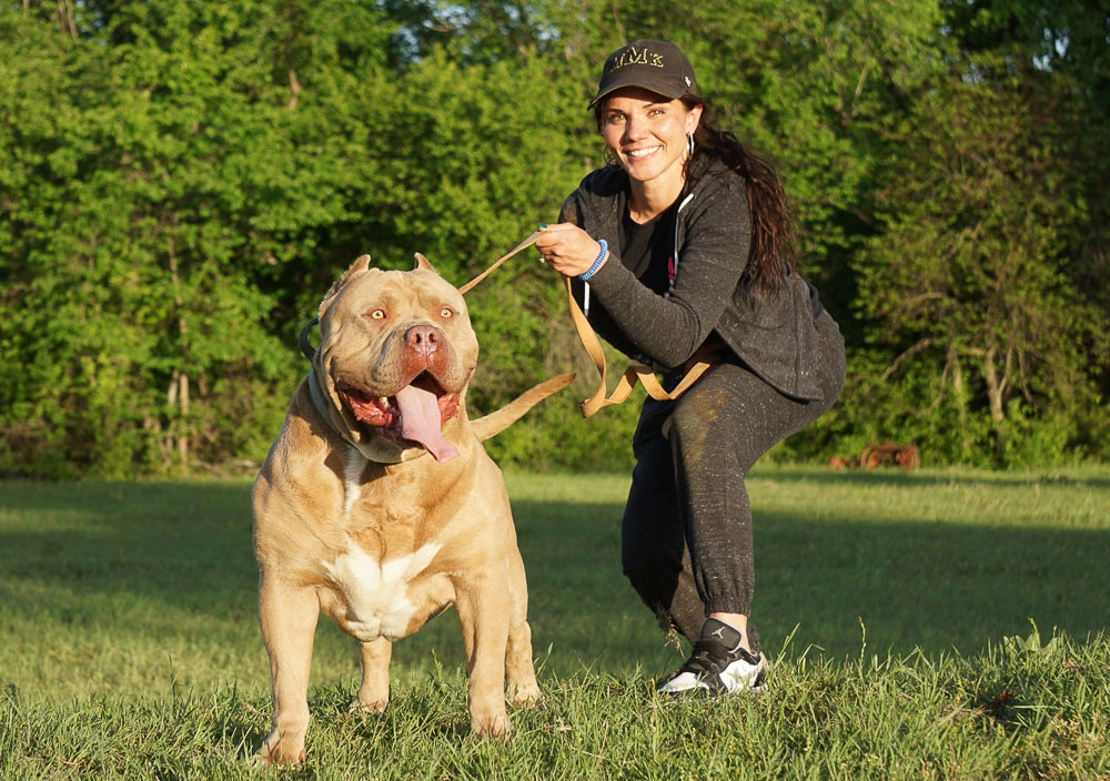 pitbull puppies for sale in California