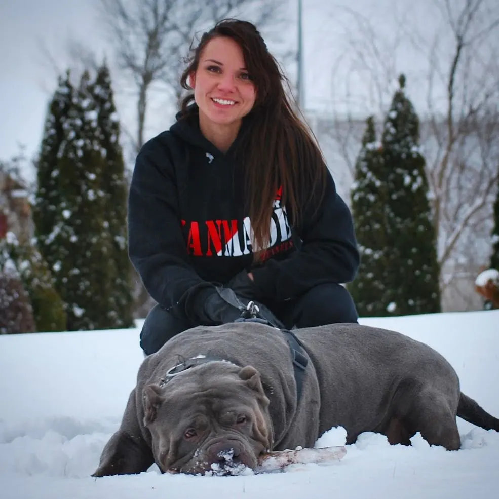 blue nose pitbull puppy for sale