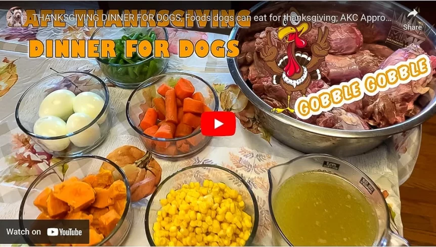 best dog food for pitbulls