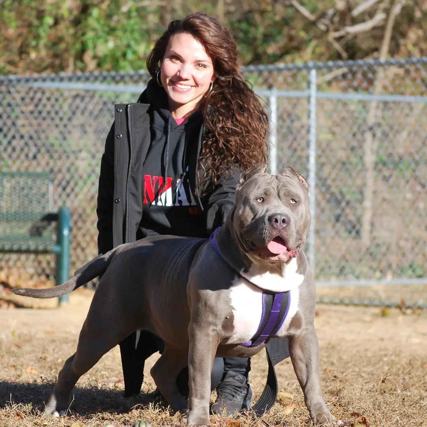 ManMade Kennels red nose XL American Bully for sale