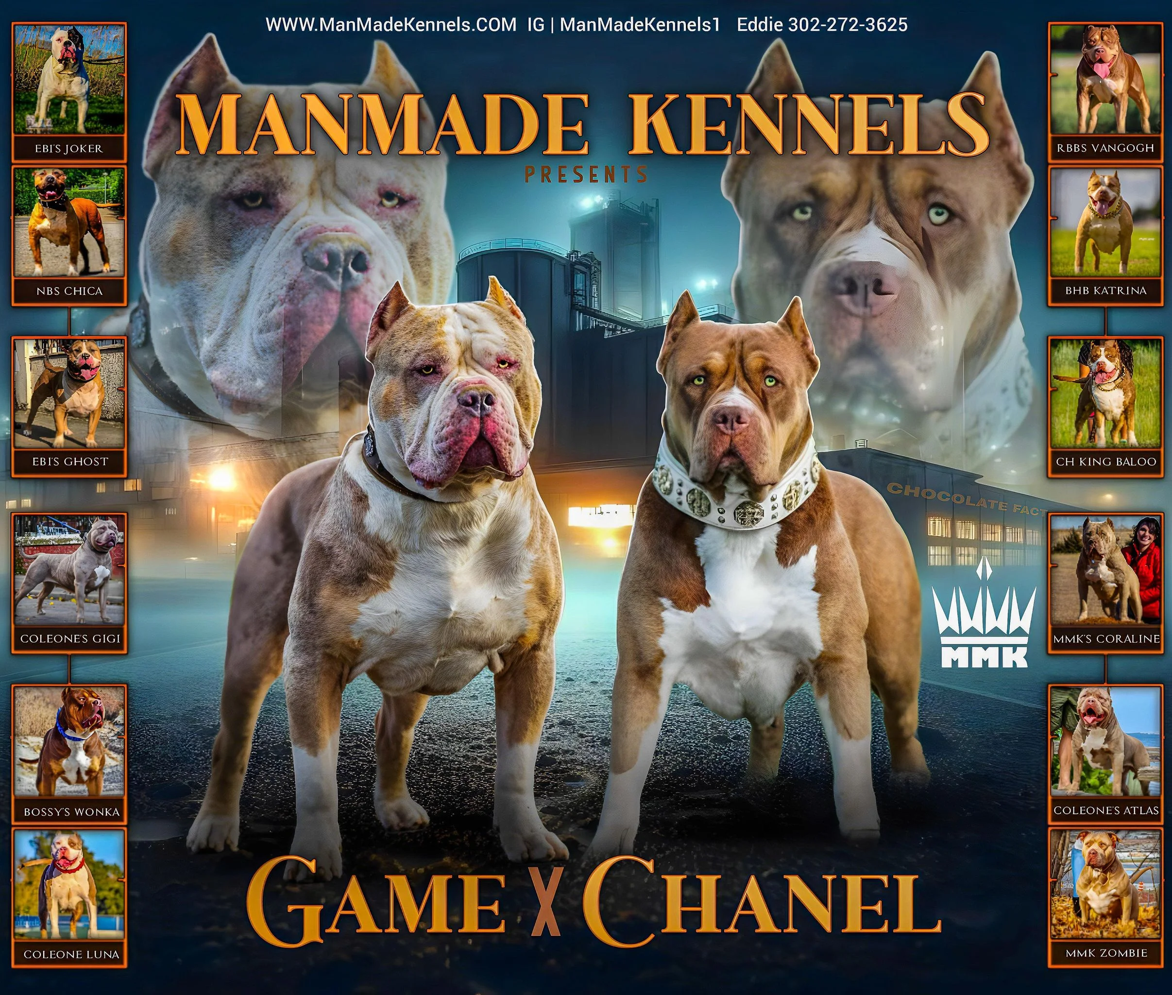 Red Nose Pitbull Puppies For Sale in Colorado