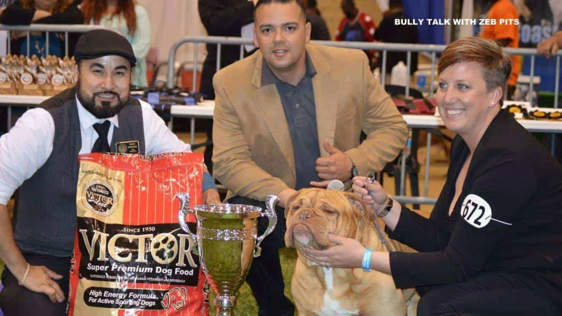 XXL bullies shows