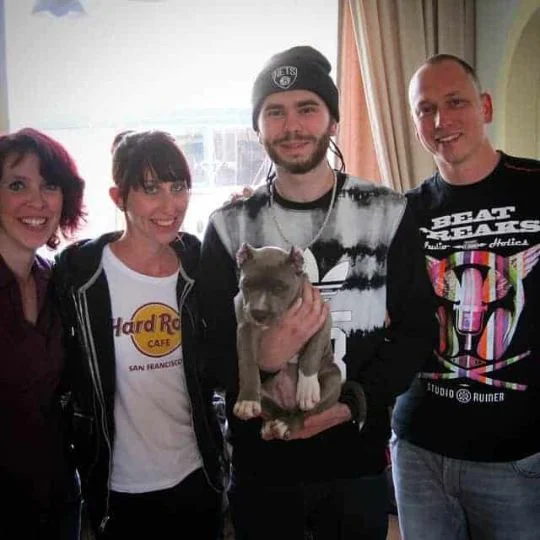 XXL Bully pitbull