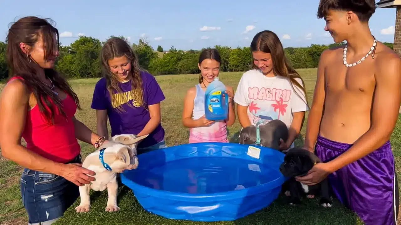Featured image for “How to Bathe Pitbull Puppies in 6 Easy Steps: 2-Week Old Puppy and Above”