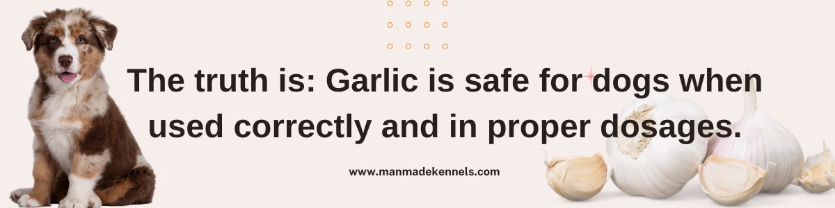 Is Garlic Safe of Dogs
