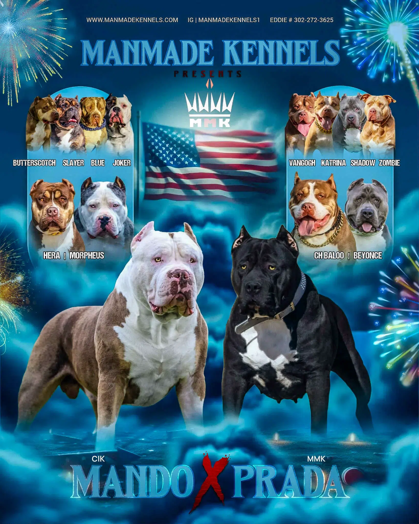 Pitbull Puppies For Sale