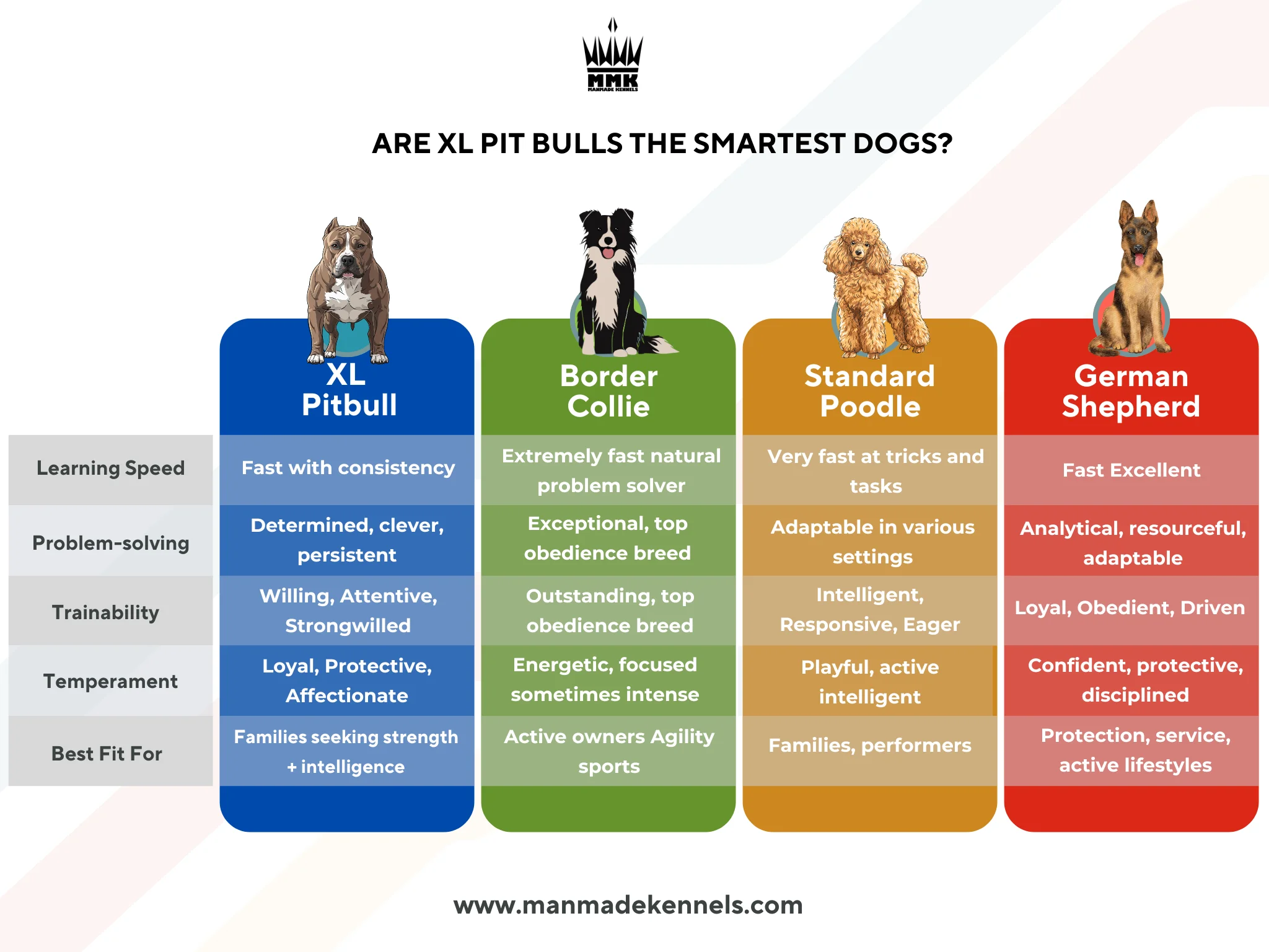 How smart are pitbulls