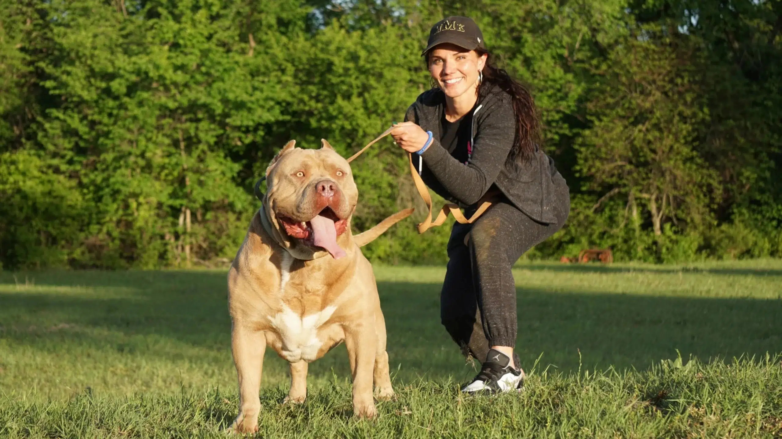 ManMade Kennels XL American Bully for sale champagne fawn bloodline United States
