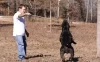 What Do Pitbulls Like to Do for Fun? A Complete Guide to Keeping Your Pup Happy